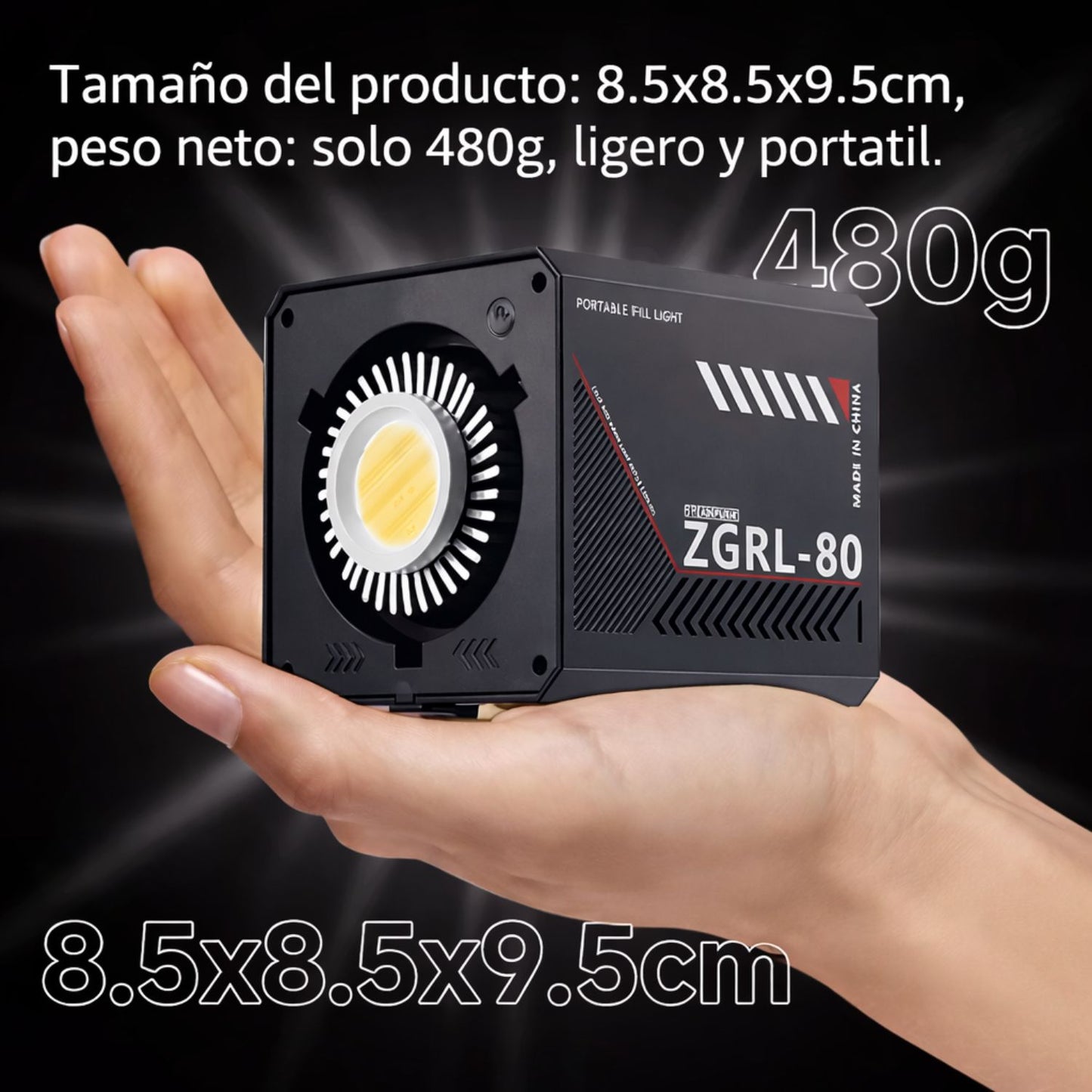 Luz LED QLDZ ZGRL80 W