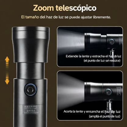 Proyector de Fondos - Marca Zinova